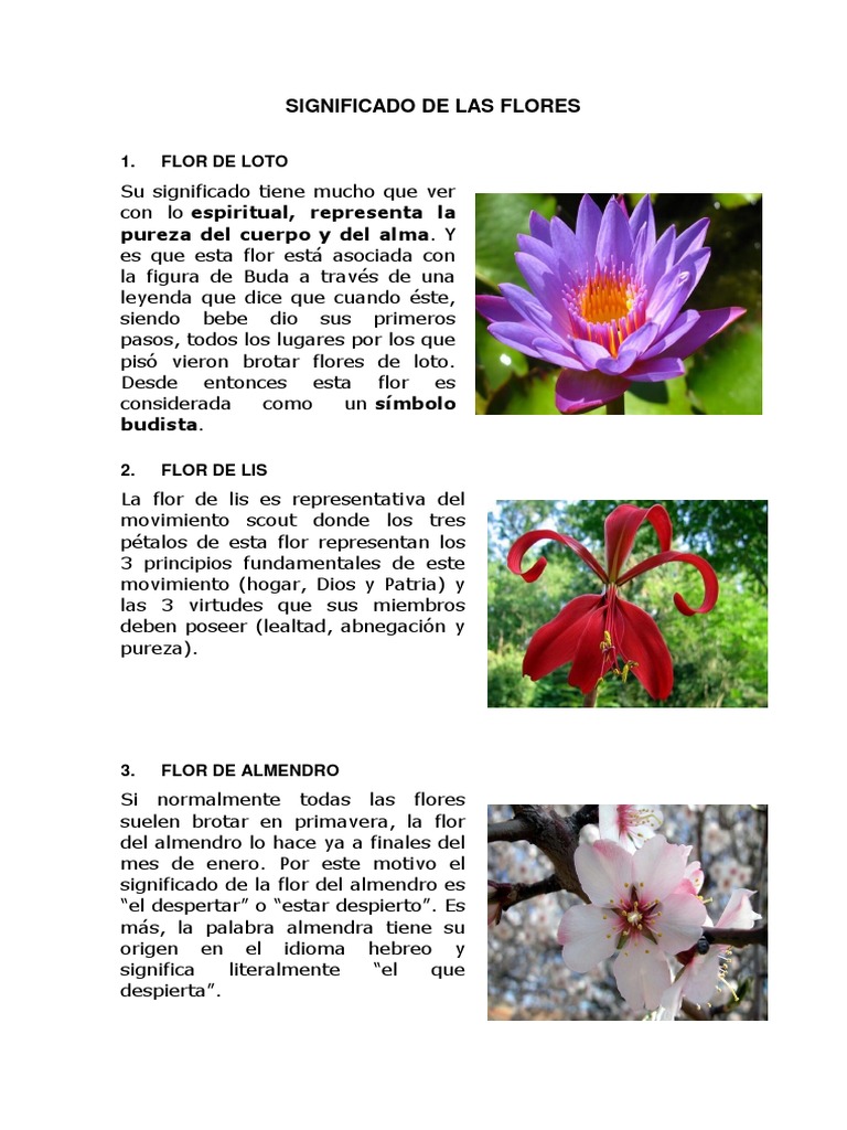 10 - Dibujo de línea de paso: aprender a dibujar cualquier flor en 7 días |  Phuong Lempinen | Skillshare, image size:768x1024