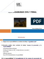 Clase 10 Responsabilidad Civil y Penal