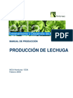 EDA Manual Produccion Lechuga 02 09