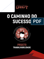 O Caminho Do Sucesso PDF