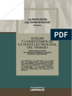 "La Protección de Los Derechos Laborales. Sanguineti.2006