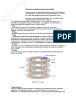 Administración Del Almacenamiento Secundario