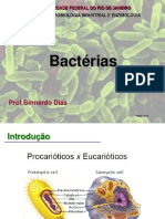 Bacterias - Aula 4