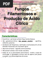 Fungos e Acido Citrico