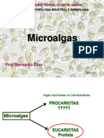 Microbiologia Industrial: Algas