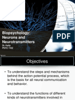 1102 Neurons and Neurotransmitters