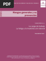 BELTRAN TAURA Paula 2014 . La Carga de Trabajo. La Fatiga y La Insatisfaccion Laboral