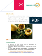 Cultivo+de+Maracuya.pdf