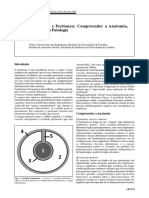 Mesenterico Semiologia