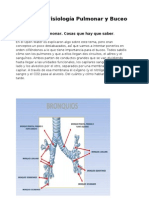 Anatomía, Fisiología Pulmonar y Buceo