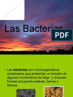 Las Bacterias y los virus. Mª C.