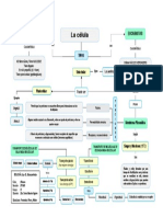 Mapa Conceptual - 9 La Célula Eucariota - Osmosis