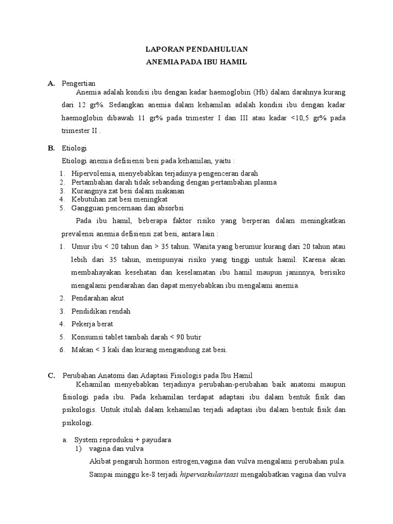 Laporan Pendahuluan Anemia Pada Ibu Hamil Pdf Info