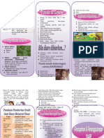 Leaflet Diare