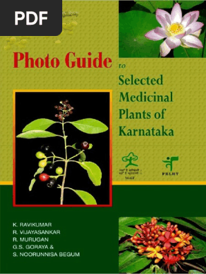 Photoguide Inpart Pdf Pdf Leaf Trees