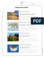CN Cidelavida 3y4b N14 PDF