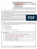 Gabarito Ae1 História 8ano PDF