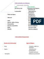 264296337-Enfermedades-infecciosas-en-Alpacas.pptx