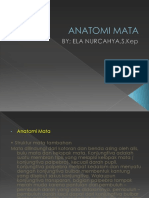 ANATOMI MATA PW Point