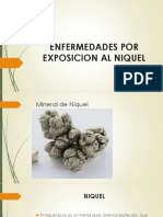 Enfermedades Por Exposicion Al Niquel