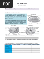 FichaAmpliacion 5to 2018