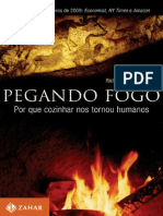 WRAGHAM, S. Pegando fogo.pdf