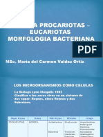 2. Morfologia bacteriana.pptx