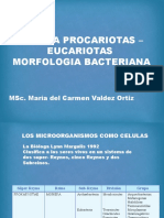 Morfologia Bacteriana