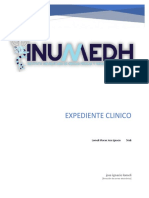 Sintesis Del Expediente Clinico