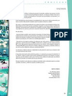 Plan de Cuidados Anemias.pdf
