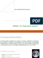 Evaluación Ambiental Proyectos