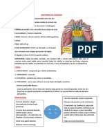 Anatomia Del Corazon i y II