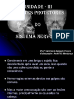 04_agentes_protetores.pdf