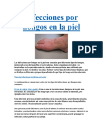 Infecciones Por Hongos en La Piel PDF GRATIS.