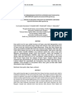 Daun Gatal Biak Dan Depapre PDF