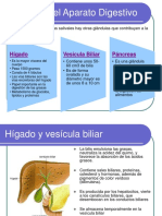 Fisiología del Aparato Digestivo: Hígado, Vesícula Biliar y Páncreas