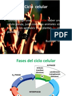 Ciclo Celular Mitosis y Meiosis 1