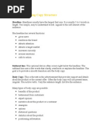 Basic Advertising Copy Structure