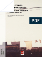 Migraciones en la Patagonia - Barelli y Dreidemie