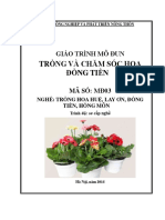 Giáo trình Trồng và chăm sóc hoa đồng tiền PDF