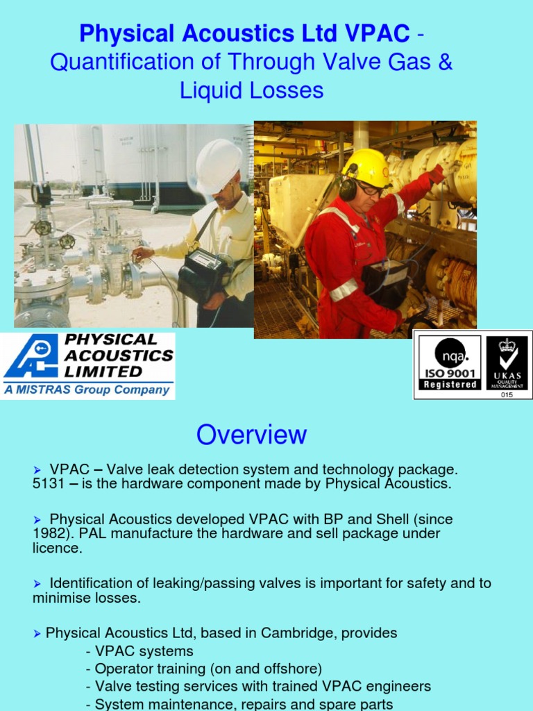 Leak Detection Inspector | PDF | Leak | Valve