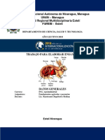 Guia 1. Fisiologia Del Conejo