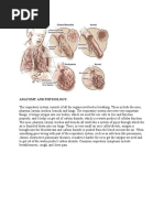 Download Anatomy and Physiology Copd by Vanessa May SN38689513 doc pdf