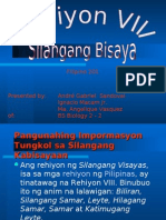 Rehiyon VIII Silangang Bisaya