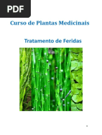 Plantas medicinais