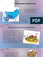 Dialnet EvaluacionDeLaProduccionDeProteasasEnDosCepasDeMuc 5381347 (1)