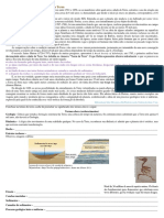 Geografia Idade Da Terra e Eras Geológicas