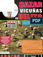 Afiche Vicuña