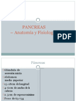 Pancreas Anatomia Expo