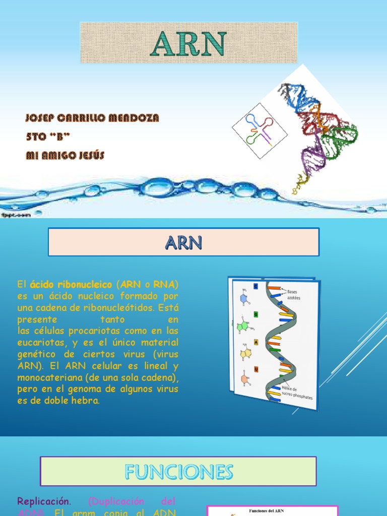 ARN | PDF